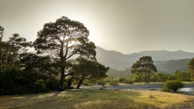 Фото: 
Oleksandr Akulenko, unsplash.com