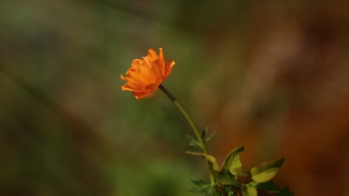Фото нашей Странницы Светланы Соколовой