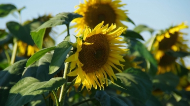 Фото из архива Клуба