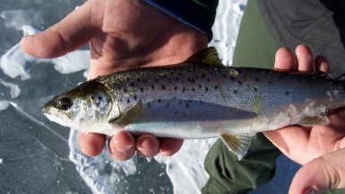 Фото: LaneG on VisualHunt 