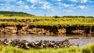 Фото: Bibhash Banerjee, unsplash.com