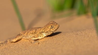 Фото нашего гида Михаила Верёвченко