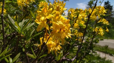 Фото нашего гида Анны Шереметьевой