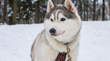 Фото из архива Клуба