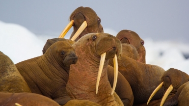 Фото из архива Клуба