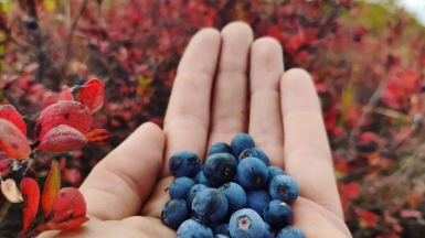 Фото нашего гида Евгении Скопиной