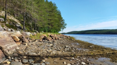 Фото нашего гида Галины Шелудько