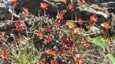 Фото Ольги Барабановой