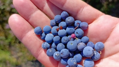 Фото гида Андрея Ткачёва