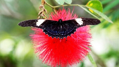 Источник фото: dany13 on Visual hunt