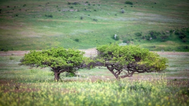 Фото нашего гида Михаила Верёвченко
