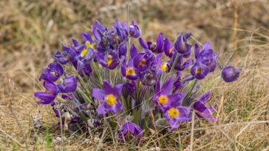 Фото нашего гида Михаила Верёвченко