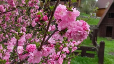 Фото нашей Странницы Анастасии Хильченко