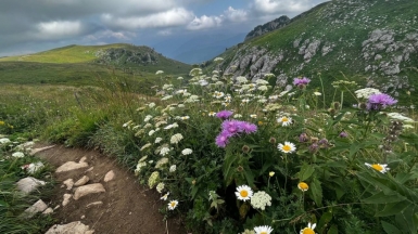 Фото наших Странников