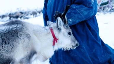 Фото нашего гида Дмитрия Эскина