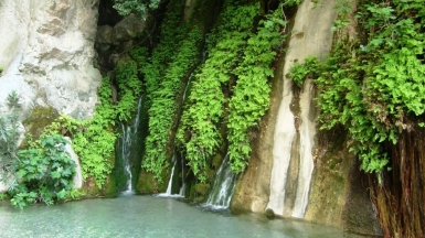 Из архива Клуба