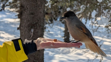 Фото нашего Странника Сергея Роднова