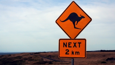 Фото: moerschy. Источник: visualhunt.com