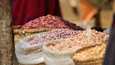 Фото: Mathias Katz, unsplash.com