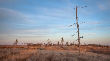 Фото нашего гида Михаила Верёвченко