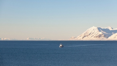 Фото: Куплевацкий