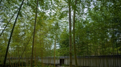 Фото Lee Thom, unsplash.com