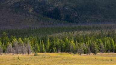 Фото нашего гида Михаила Верёвченко
