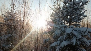Фото нашего гида Ирина Пряничниковой