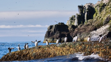 Фото из архива Клуба