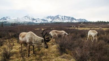 Фото из архива Клуба