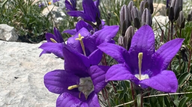 Фото нашего гида Дарьи Мухортовой