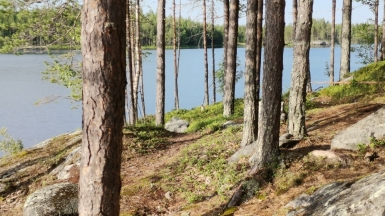 Фото наших Странников