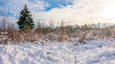 Фото наших Странников