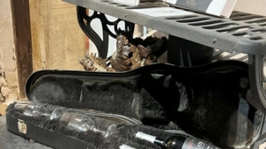 Фото: гид Алексей Шорец