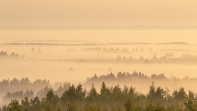 Фото нашего гида Михаила Верёвченко