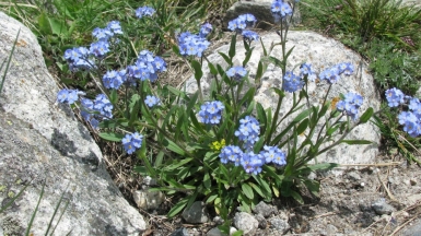 Фото нашего гида Геннадия Скосырева