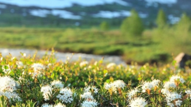 Фото: Depositphotos