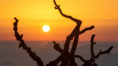 Фото Михаила Верёвченко