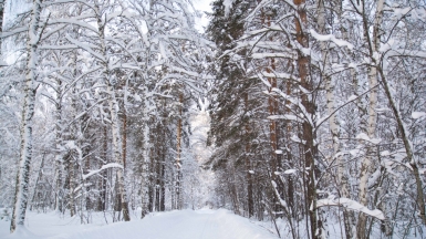 Фото из архива Клуба