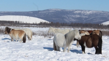 Фото из архива Клуба