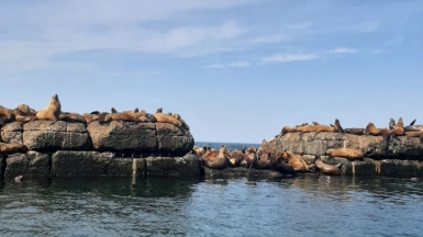 Фото из архивов Клуба