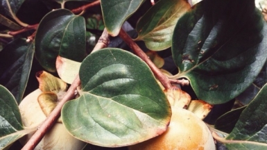 Фото Татьяны Швыряевой