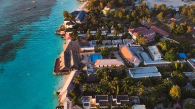 Фото: Dmitry Limonov, unsplash.com