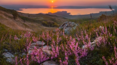 Фото Фёдора Лашкова