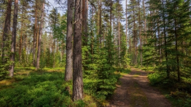Фото нашего гида Михаила Верёвченко