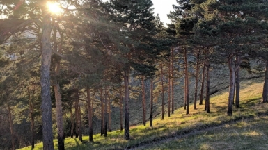 Фото: Mary Ray, unsplash.com