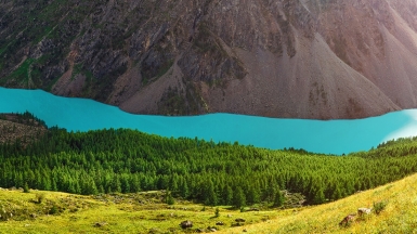 Фото: depositphotos.com