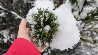 Фото: Sterna Is, unsplash.com