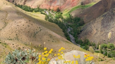 Фото: Sergey Chuprin on unsplash