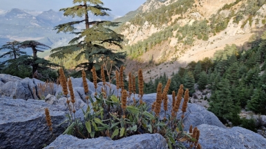 Фото наших Странников